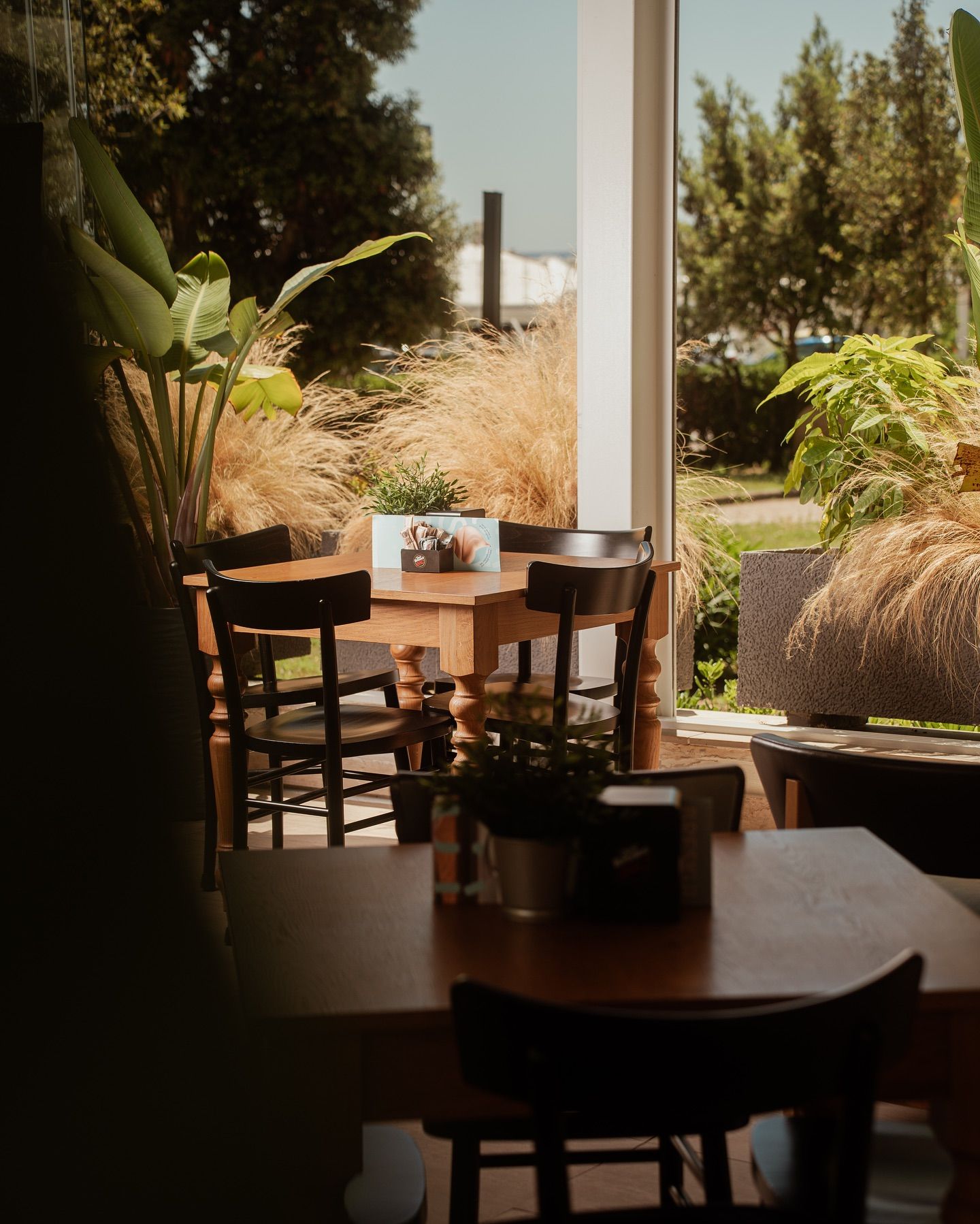Interno del bar con tavoli e sedie in legno, ampia finestra con vista sul verde esterno.