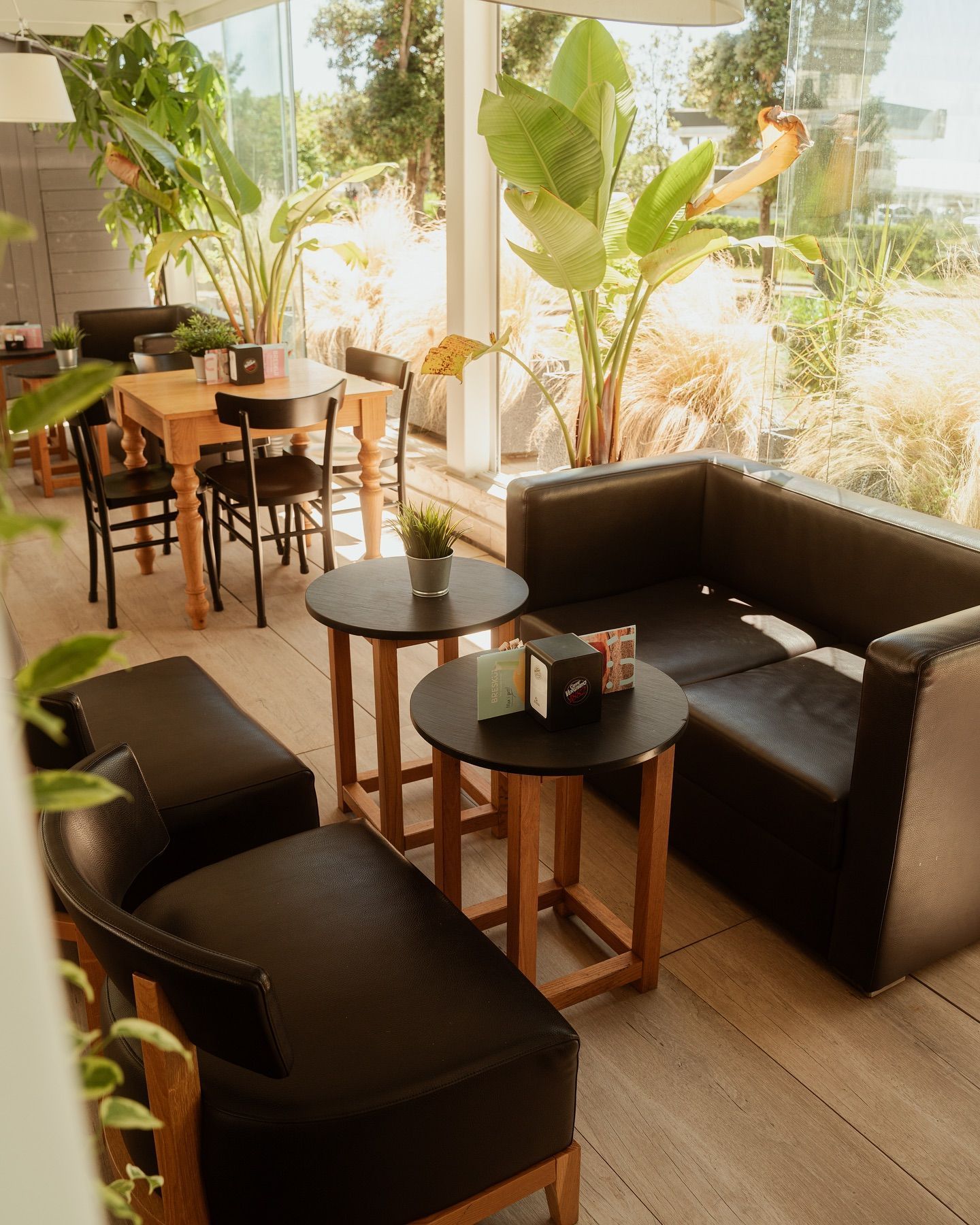 Interno del bar con sedute in pelle nera, tavoli rotondi, mobili in legno e grandi piante.