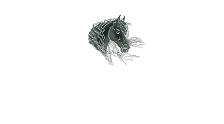 A detailed line art illustration of a dark horse’s head and flowing mane, set against a plain white background.