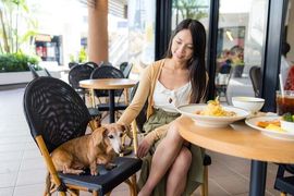 rise-and-shine-breakfast-lunch-pet-dining-service-img