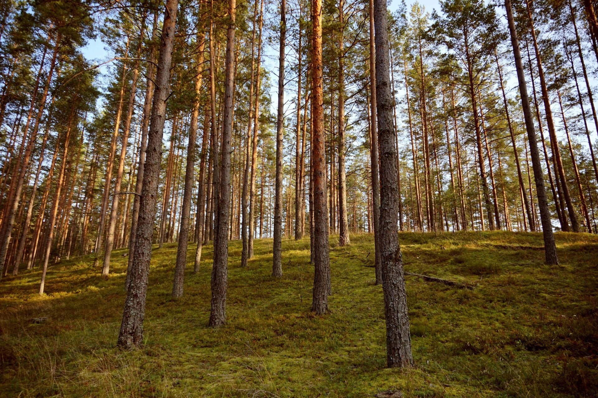 Person in green jacket working on a red semi-truck in a garage.