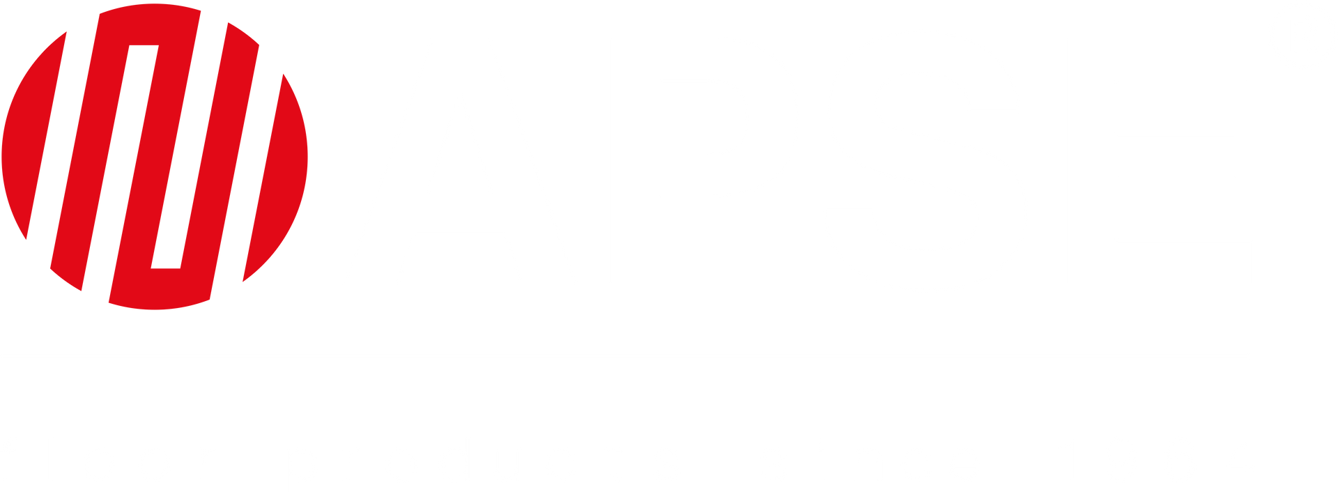 logo APSE Bergamo