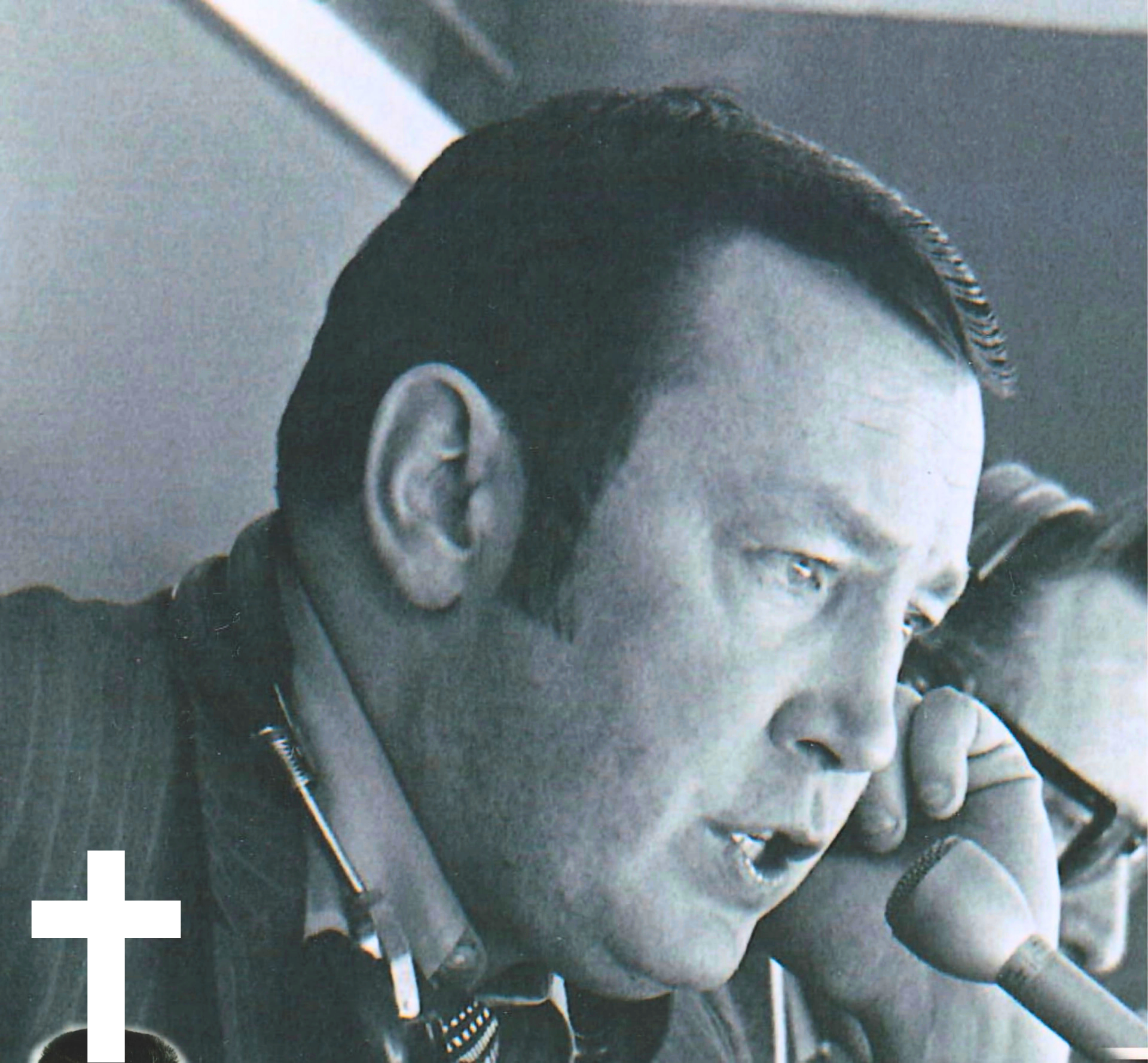 Dan Kelly