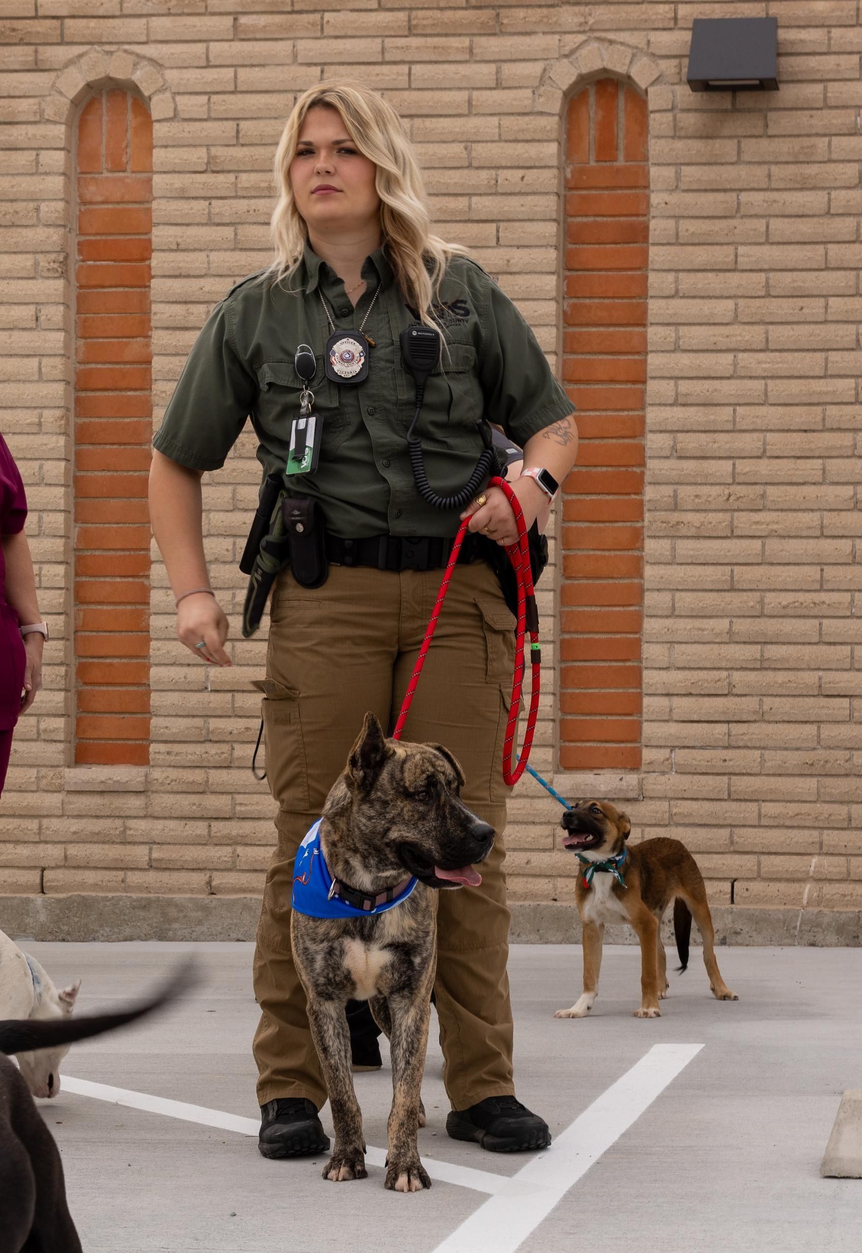 Woman in uniform with dog on leash, other dogs in background, brick wall.