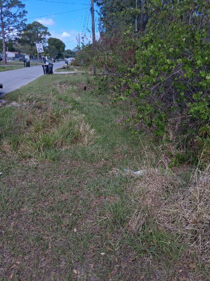 Overgrown grassy roadside beside a tree-lined street with a parked scooter in the distance