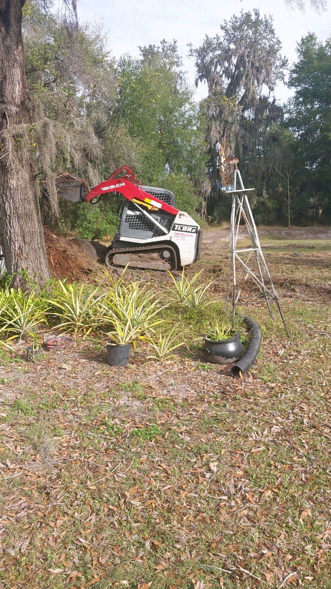 A white and red skid-steer loader sits near a tree and a small metal tower in a grassy, wooded yard.