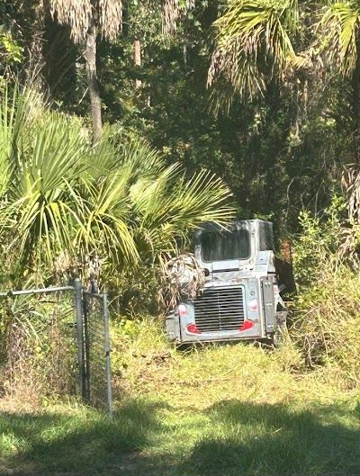 A gray skid-steer loader sits in a wooded area behind a wire fence surrounded by palm trees and brush.