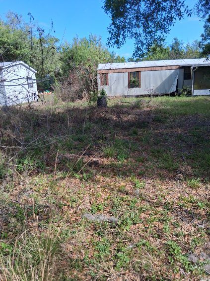 Overgrown yard with a white shed and mobile home under a blue sky