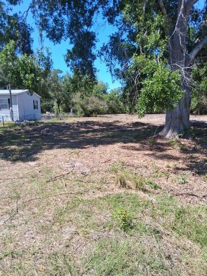 Wooded yard with a white shed on the left and a large tree in the foreground under bright sunlight
