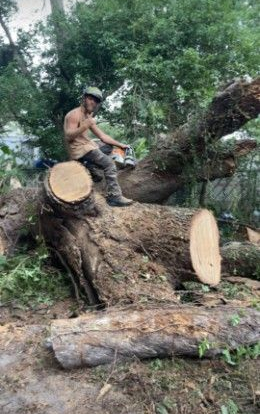 Person sitting on a fallen tree trunk in a wooded area with freshly cut logs nearby