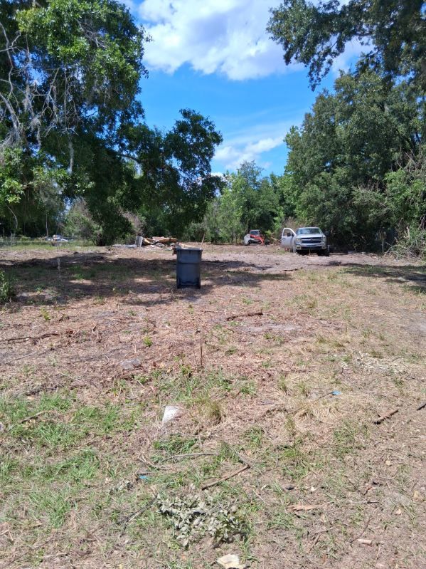 Open clearing with trees, a trash bin, and a parked car under a blue sky