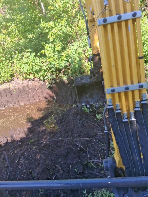 Yellow hydraulic hoses on a construction machine beside a muddy, wooded area.