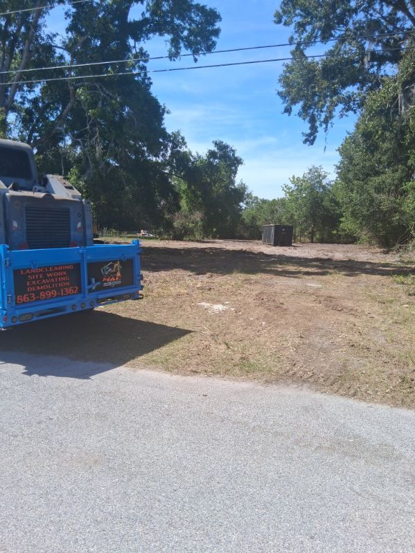 Blue truck parked by a quiet road beside a wooded dirt clearing under a bright sky