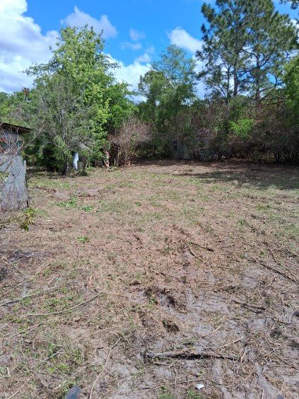 Grassy yard with scattered trees and shrubs under a blue sky, near a small building on the left