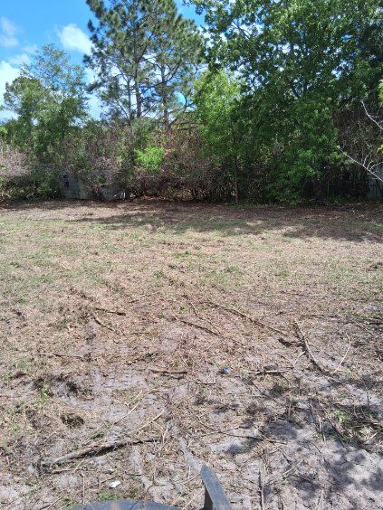 Dry grassy clearing with scattered trees and shrubs under a bright sky.
