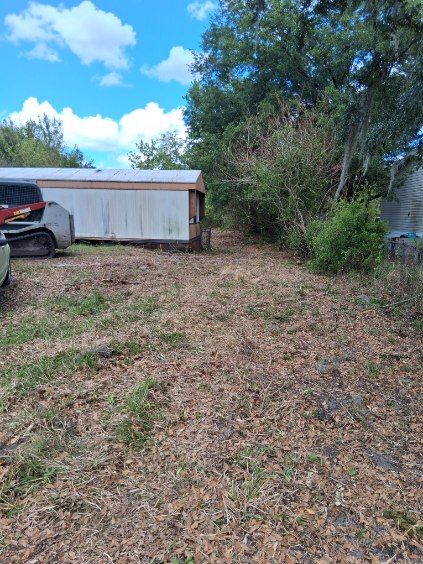 Overgrown yard beside a white shed and parked car under a partly cloudy sky