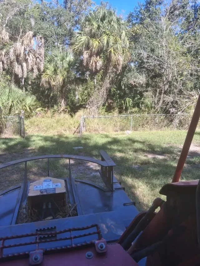 The view from the seat of a tractor looking out at a grassy yard and a fence line with trees and palms in the background.