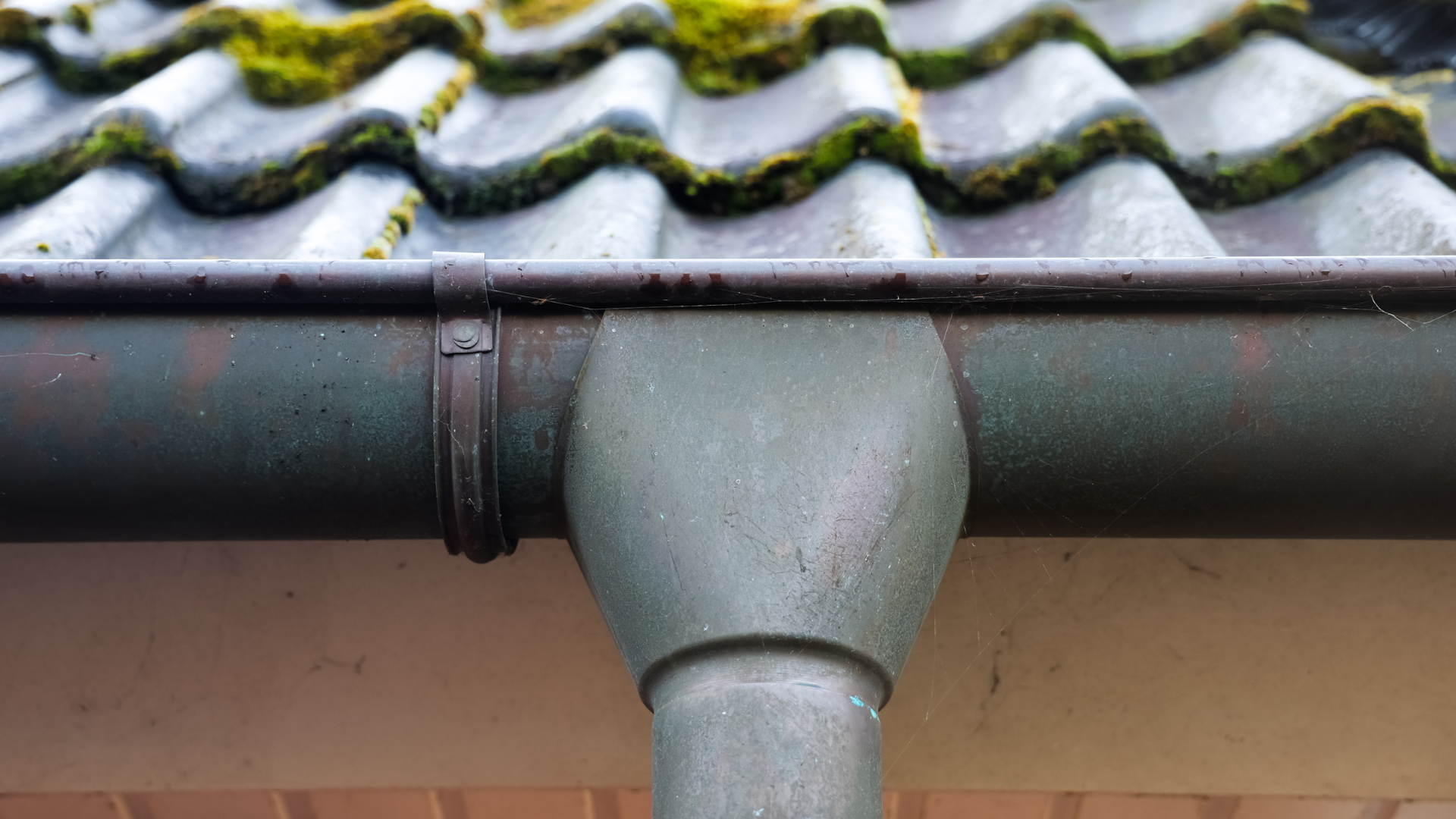 A weathered metal rain gutter with a downspout outlet attached to a mossy, tiled roof.