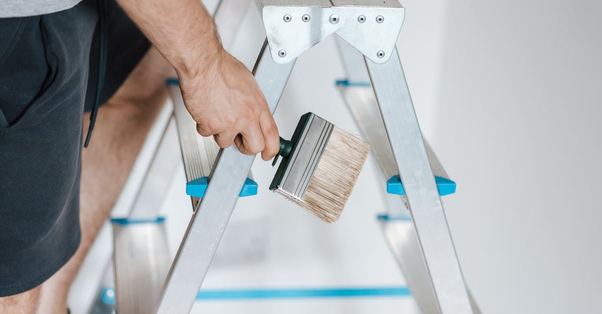 A man is standing on a ladder holding a paint brush.