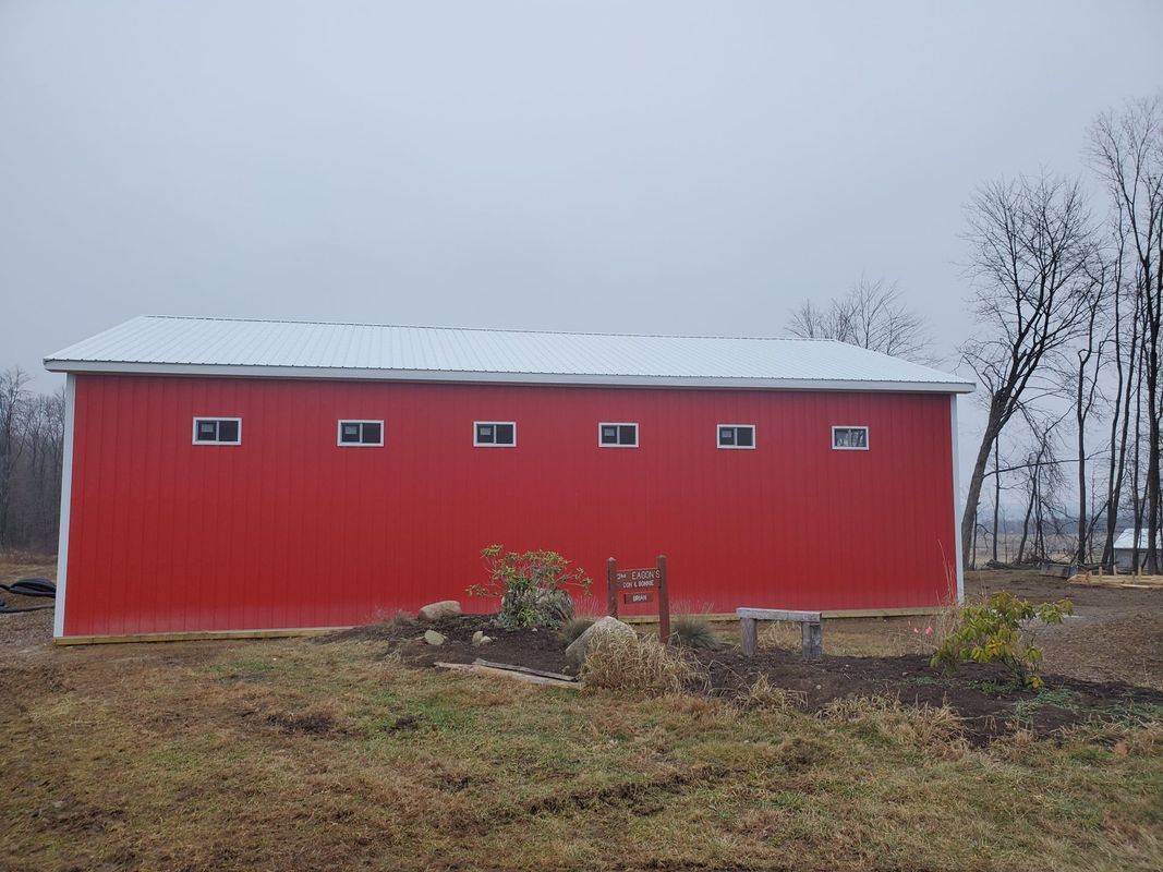 A red barn with a white roof is sitting in the middle of a field.