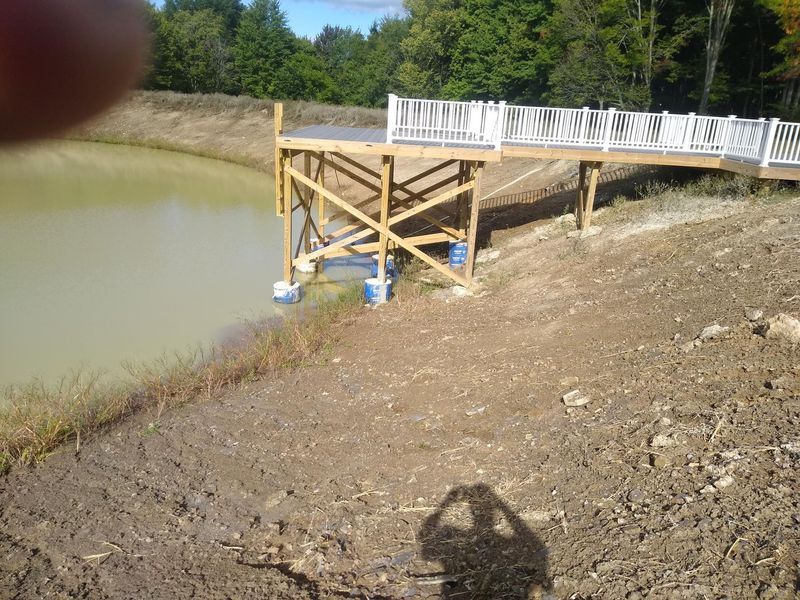 A person is taking a picture of a bridge over a body of water.