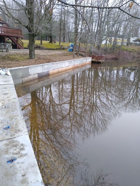 A large body of water with trees reflected in it