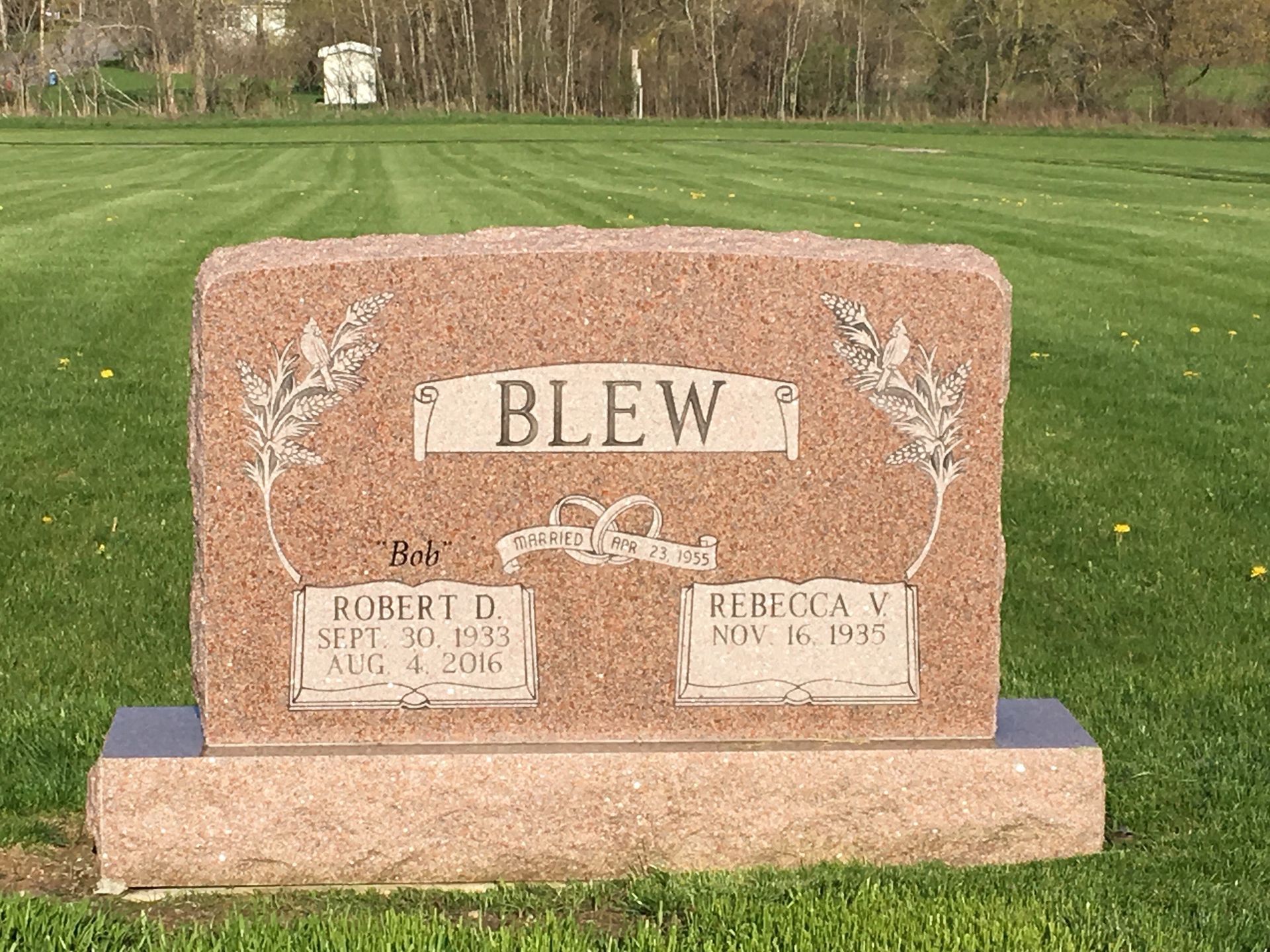 Grave marker for the Blew family in a grassy field. Red granite with names and dates.