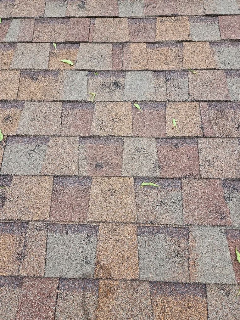 A person is holding a piece of shingles on a roof.