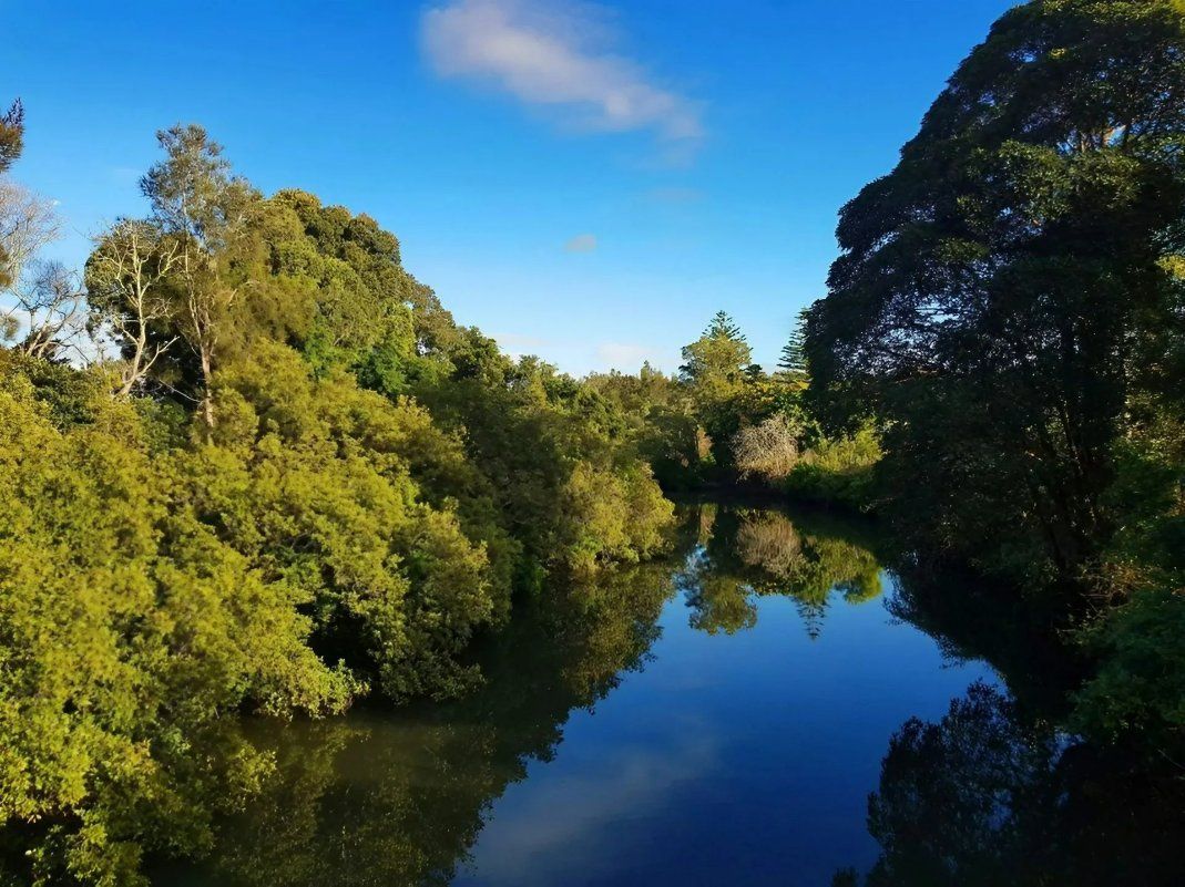 A River Surrounded by Trees on A Sunny Day — Oz-Craft in Taree, NSW