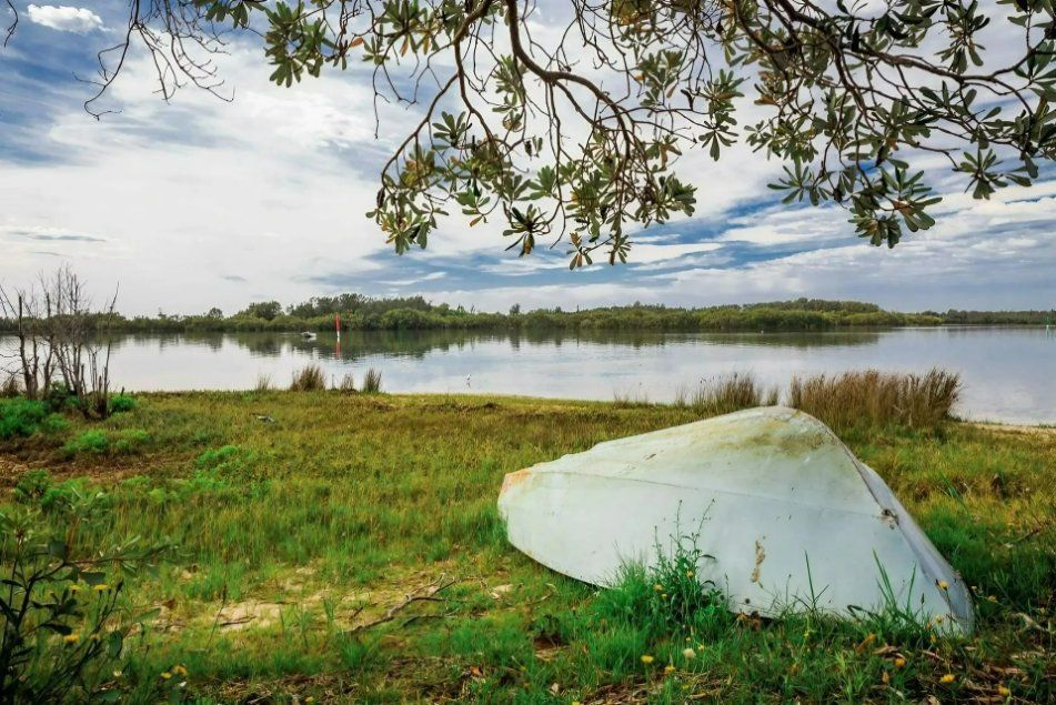 A White Boat Is Sitting on The Shore of A Lake — Oz-Craft in Taree, NSW