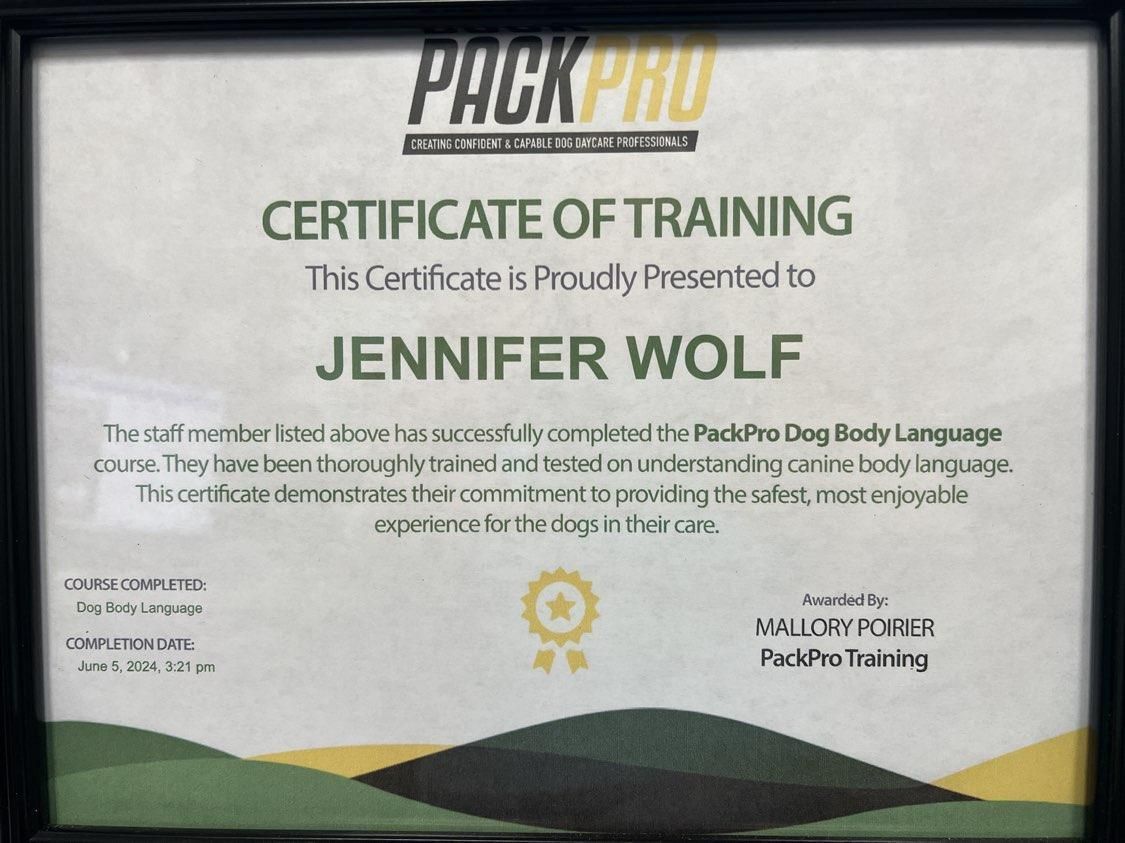 A certificate of training is presented to jennifer wolf
