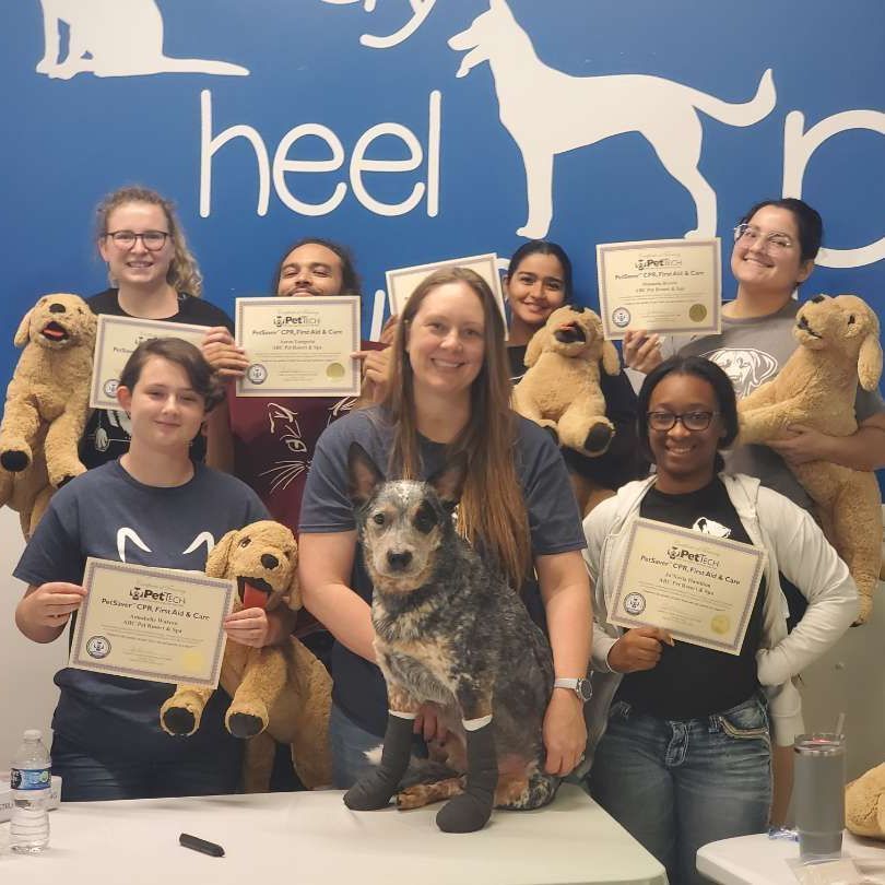 A group of people holding certificates and stuffed animals in front of a sign that says heel