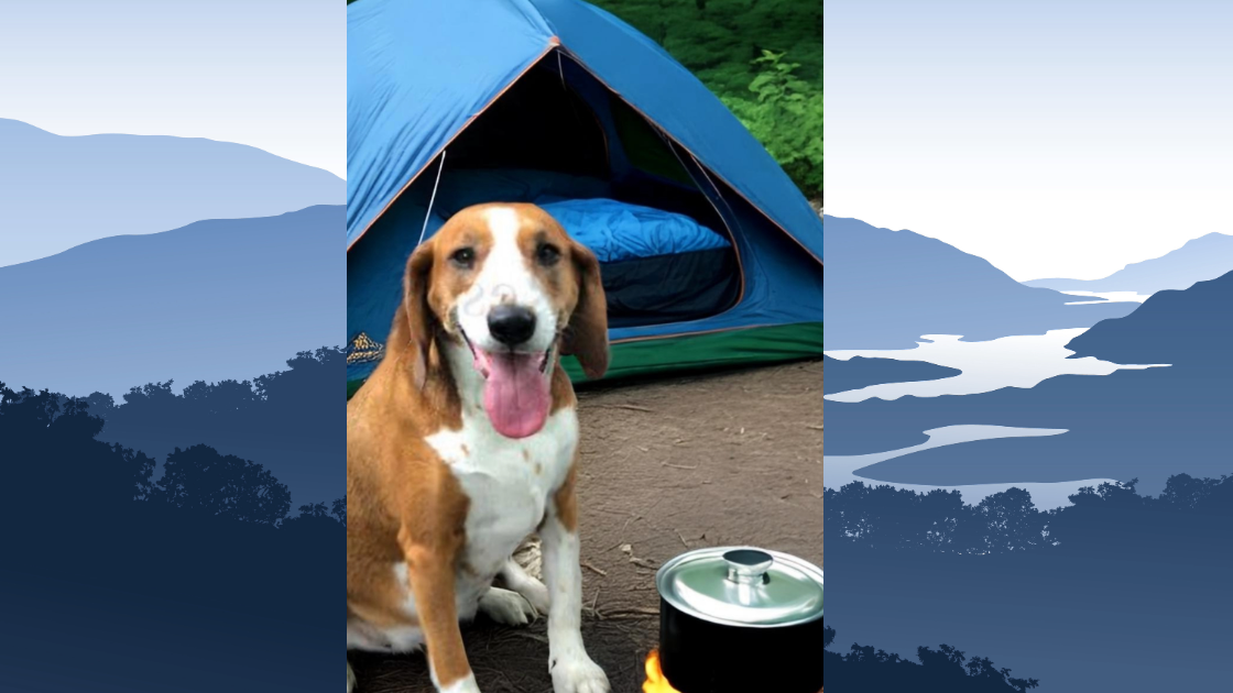 A group of people holding certificates and stuffed animals in front of a sign that says heel
