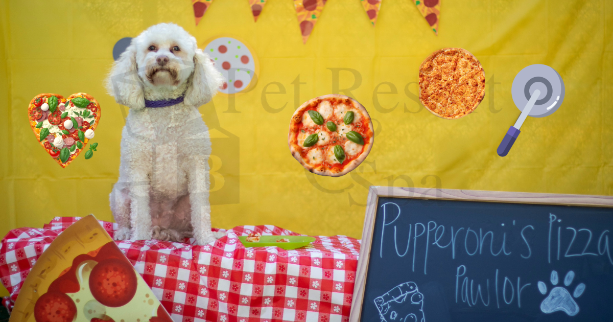 A group of people holding certificates and stuffed animals in front of a sign that says heel