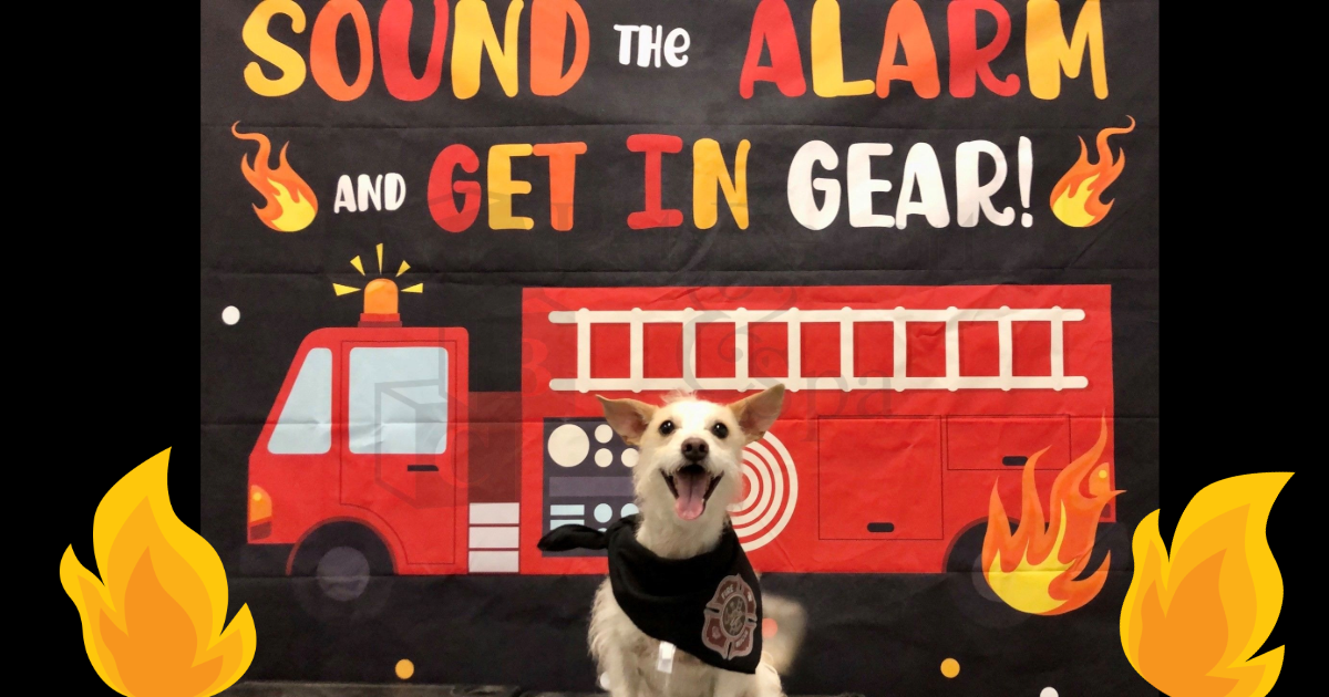 A certificate of training is presented to jennifer wolf