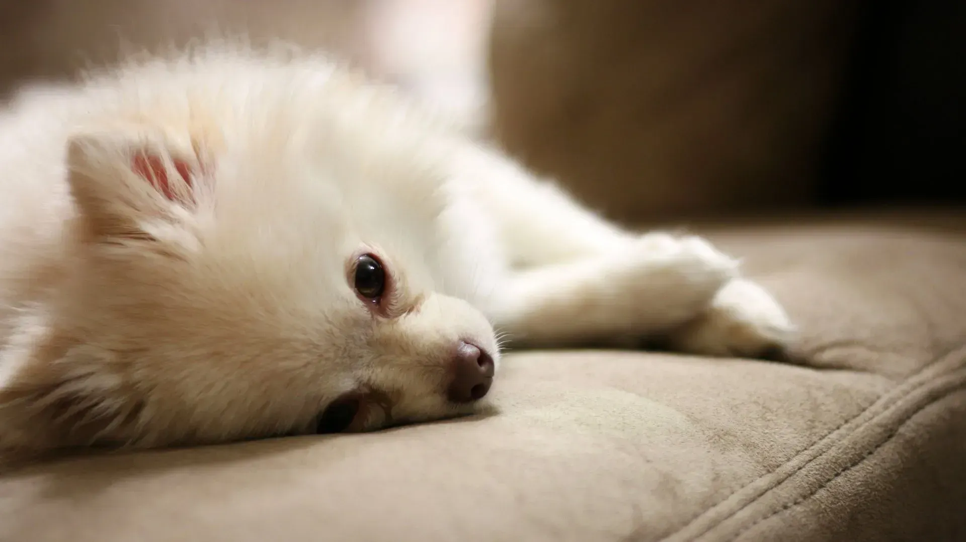 Sample of photography