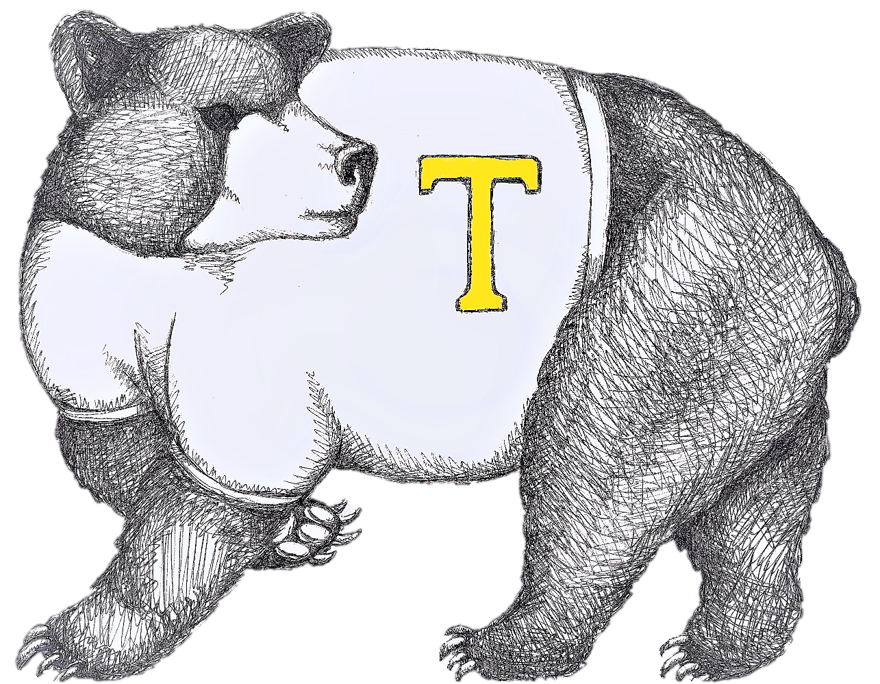 A bear with the letter t on its back