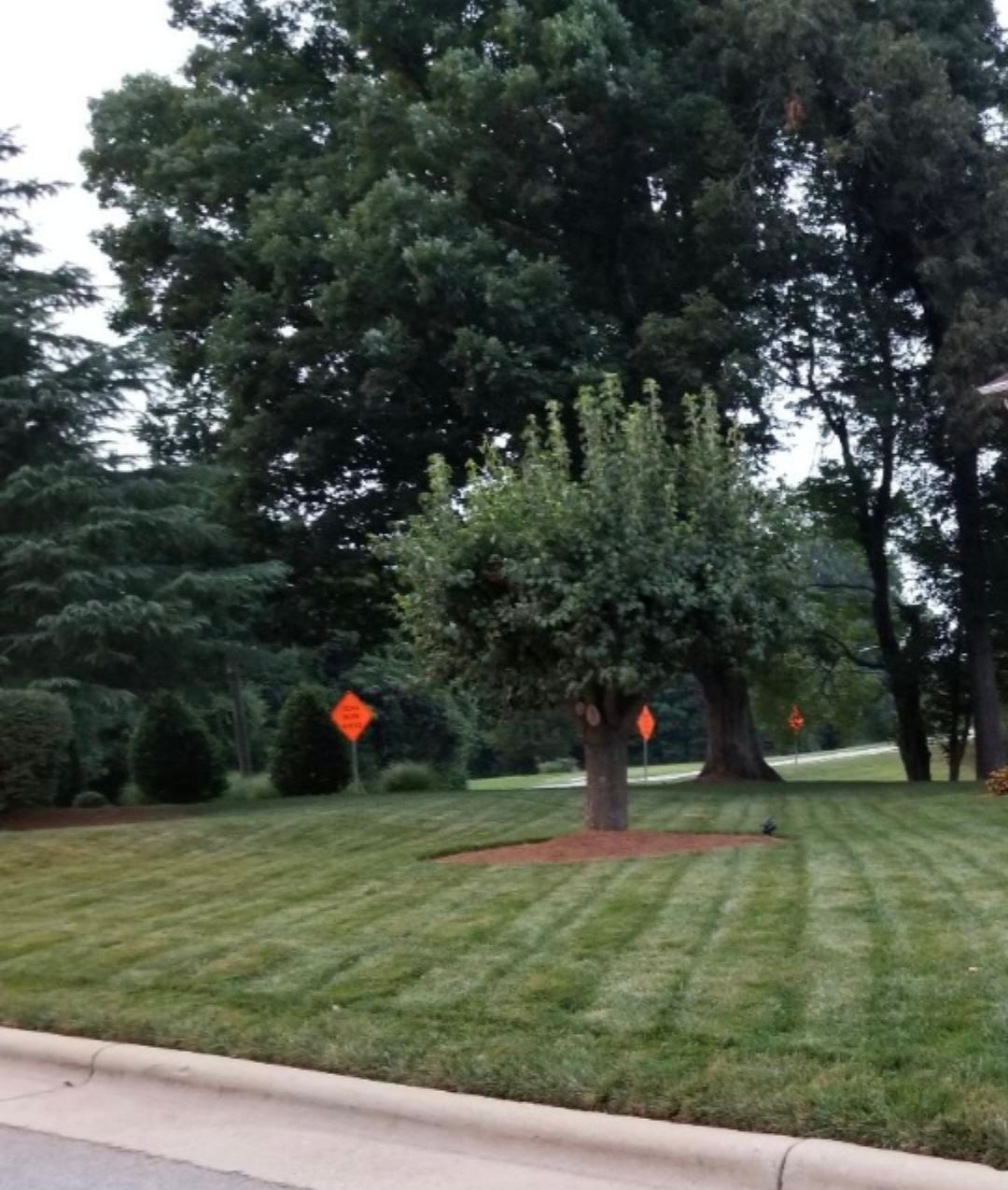 completed mowing services in Greensboro, NC