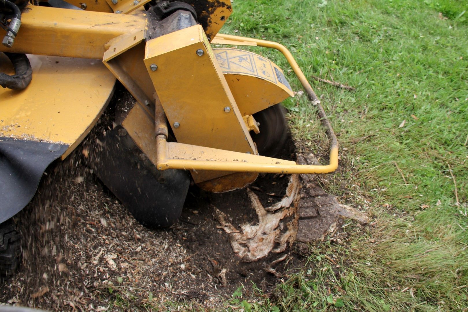 A yellow stump grinder is cutting a tree stump in the grass.