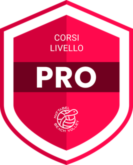 icona corso pro volley