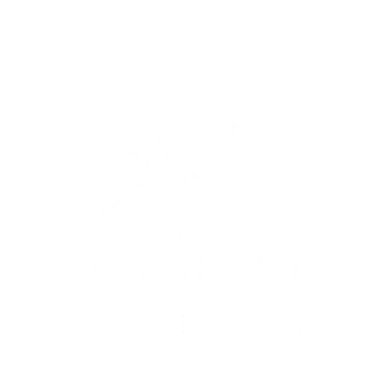 Best Choice Home Health Care Inc. logo