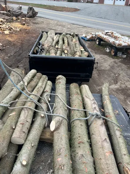 A pile of logs sitting on top of a trailer.