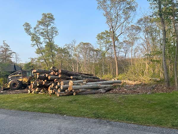 A pile of logs is sitting on the side of the road next to a tractor.