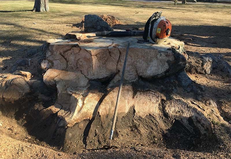 A tree stump with a shovel sitting on top of it.