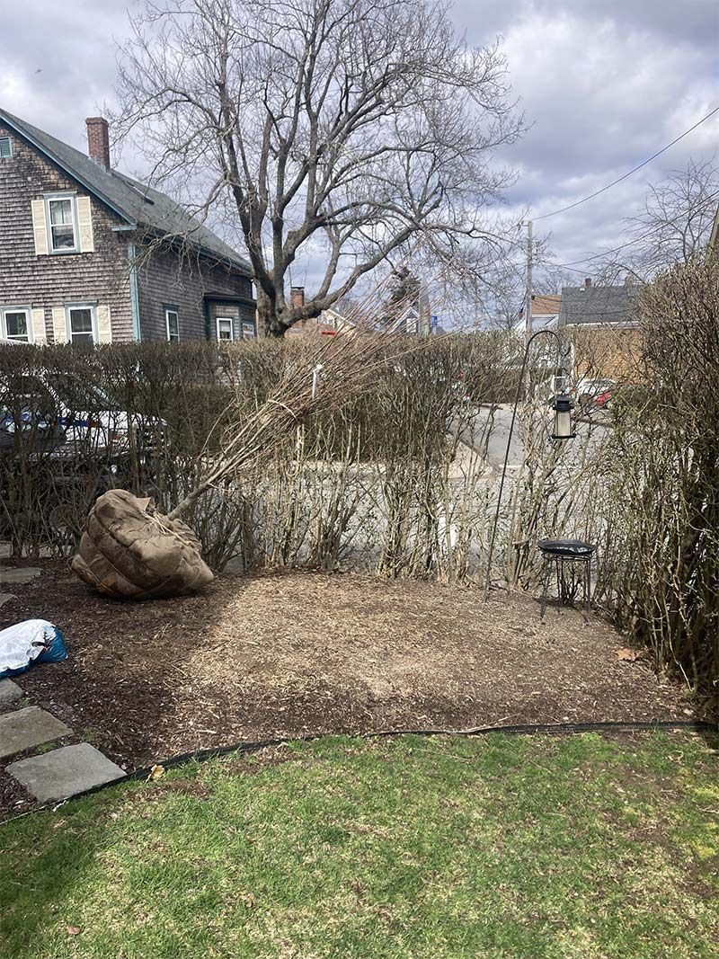 A backyard with a large rock in the middle of it and a house in the background.