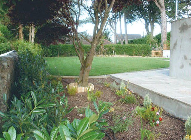 Decking - Merthyr Tydfil, Mid Glamorgan - Acorn Landscaping and Maintenance Services Ltd - landscaping project 3