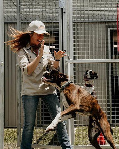 Mel And Matt Playing With Their Dog — Furhill Pet Boarding in East Kempsey, NSW