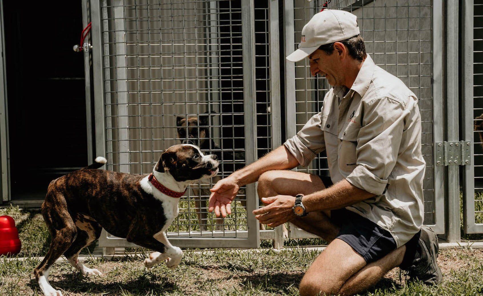 Man And Dog — Furhill Pet Boarding in East Kempsey, NSW
