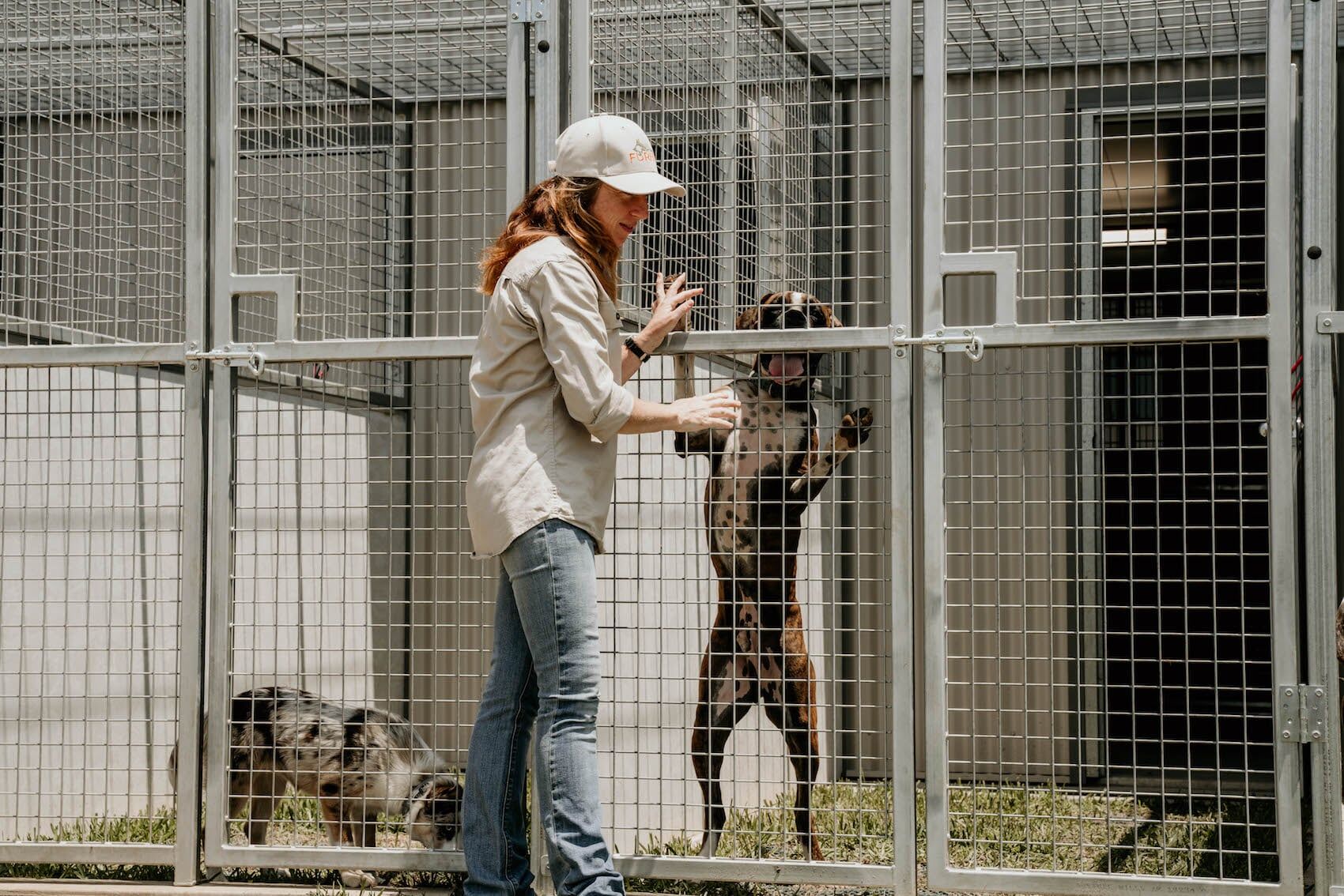Dog Boarding 10 — Furhill Pet Boarding in East Kempsey, NSW