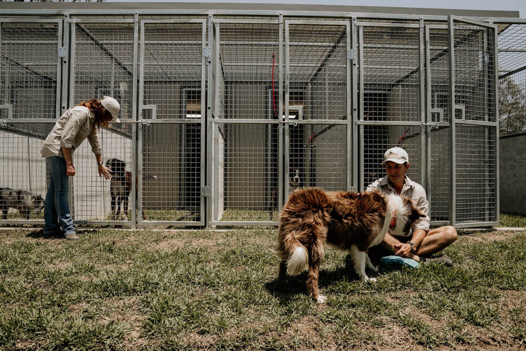 Gallery Furhill Pet Boarding